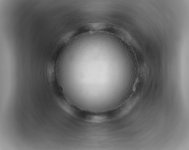 X0000112170360200908071203