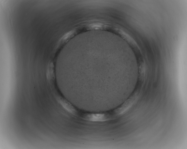 X0000112170361200908071203