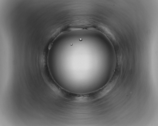 X0000112170362200908071203