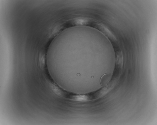 X0000112170363200908071203