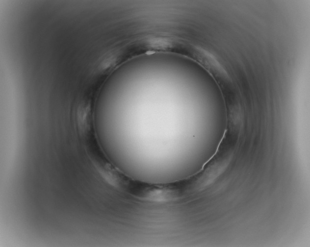 X0000112170364200908071203