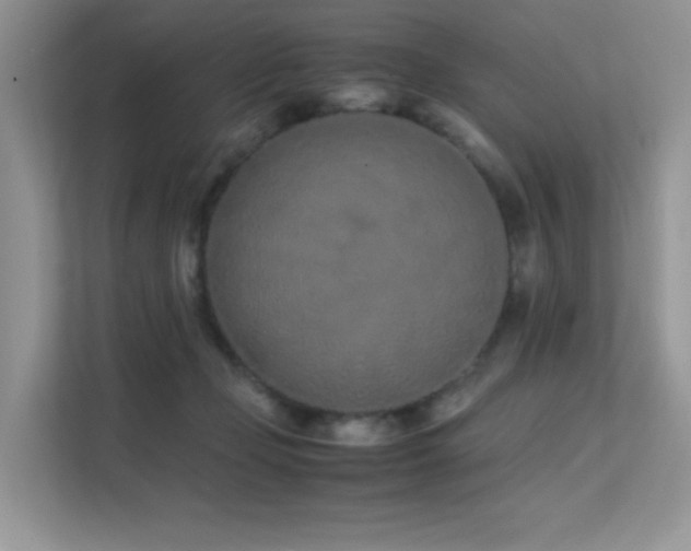 X0000112170365200908071203