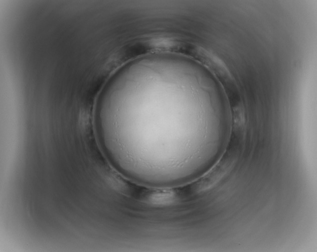 X0000112170369200908071203