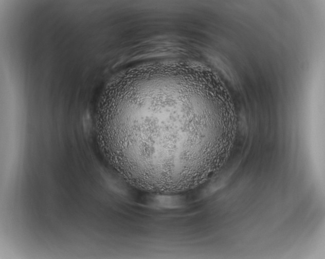 X0000112170371200908071203