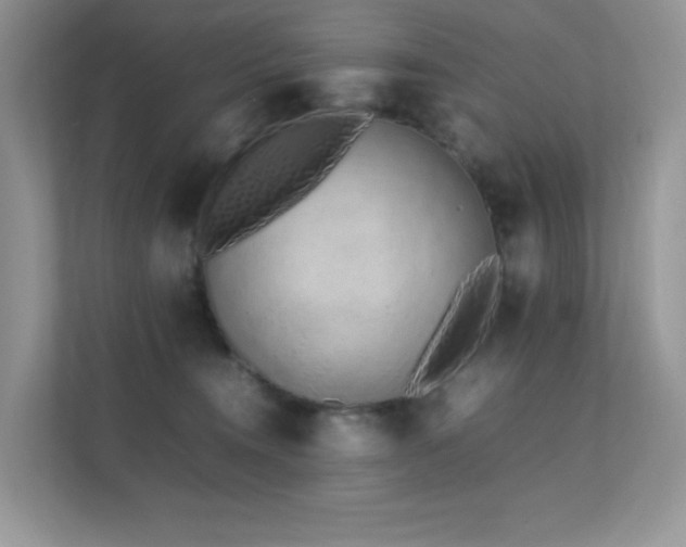 X0000112170372200908071203