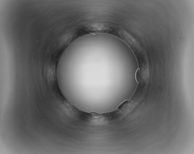 X0000112170376200908071203