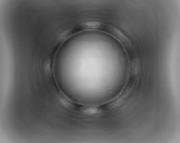 X0000112170377200908071203