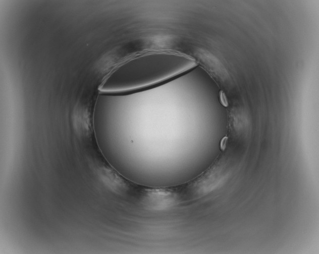 X0000112170380200908071203