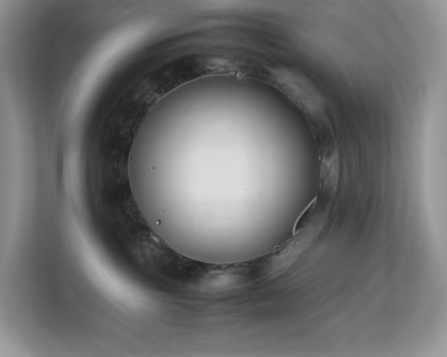 X0000112170381200908071203