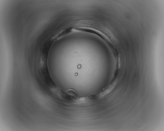 X0000112170382200908071203