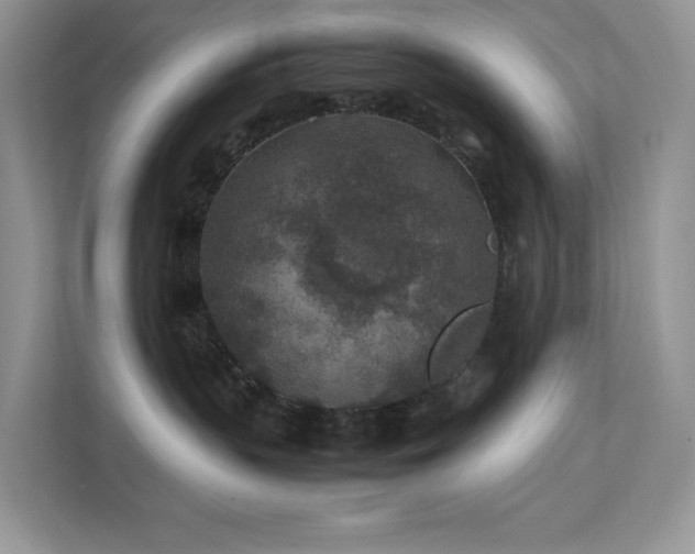 X0000112170383200908071203