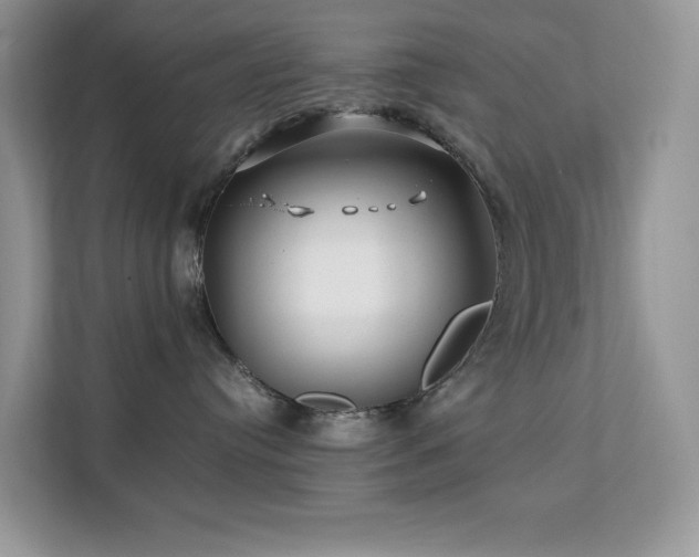 X0000112170384200908071203