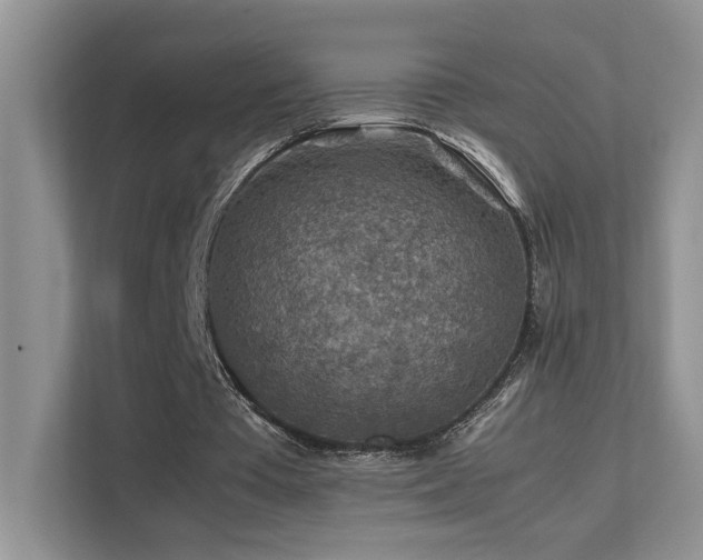 X0000112170385200908071203