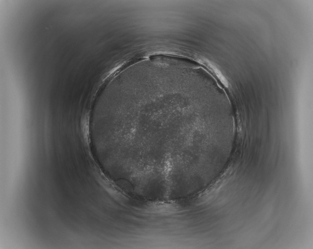 X0000112170386200908071203