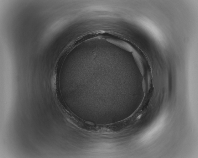 X0000112170387200908071203