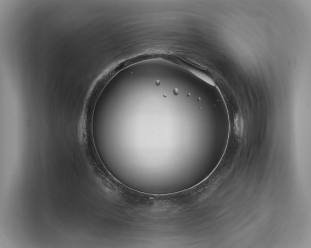 X0000112170388200908071203