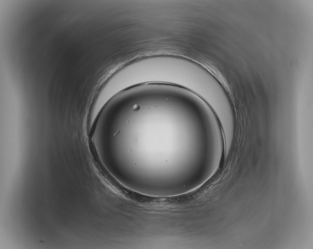 X0000112170389200908071203