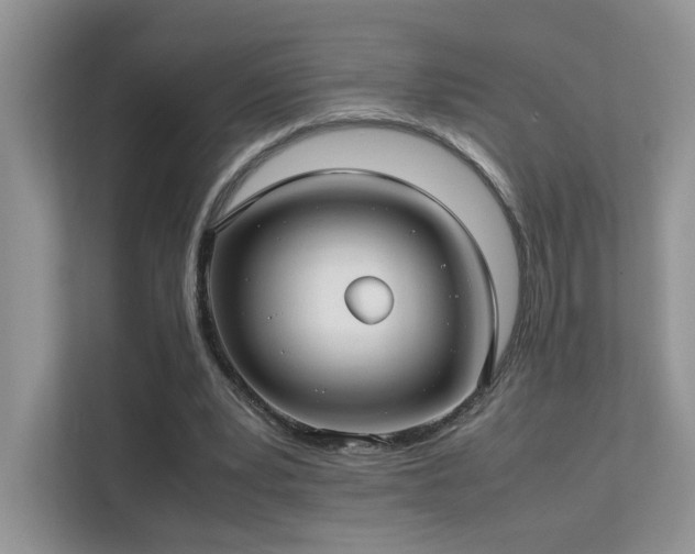 X0000112170391200908071203