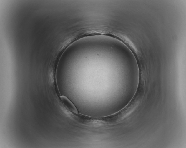 X0000112170393200908071202