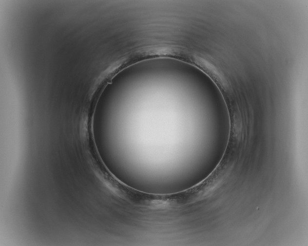 X0000112170394200908071202