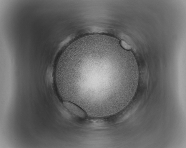 X0000112170395200908071202