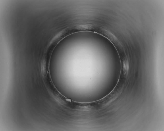 X0000112170396200908071202