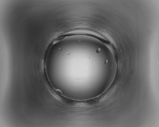 X0000112170397200908071202