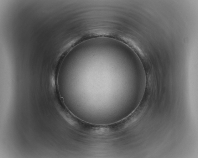 X0000112170398200908071202