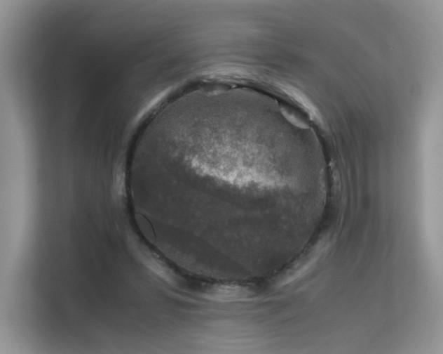 X0000112170399200908071202