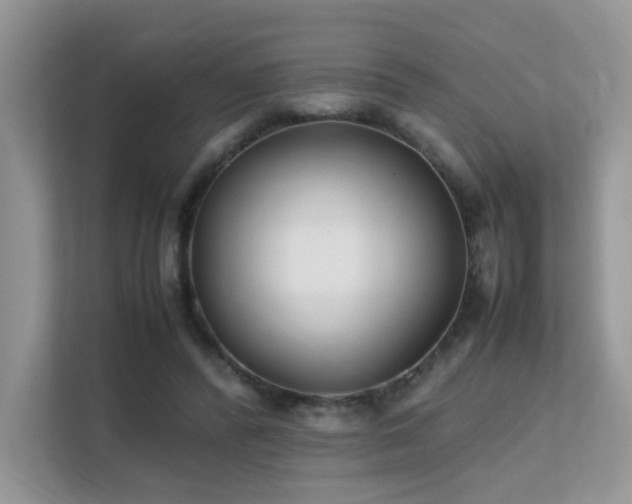 X0000112170400200908071202