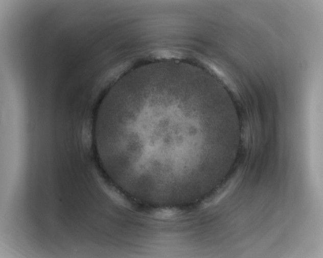 X0000112170402200908071202