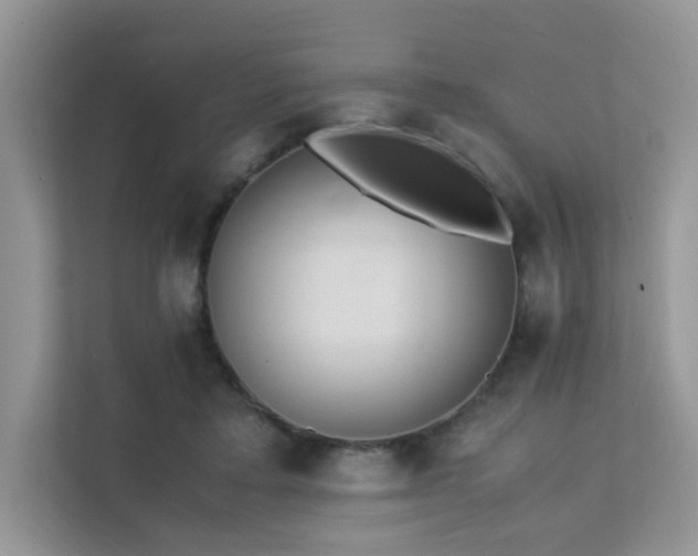 X0000112170403200908071202