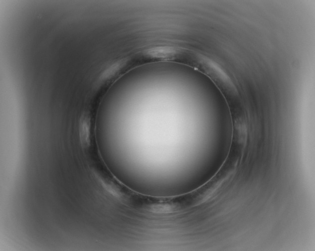 X0000112170404200908071202