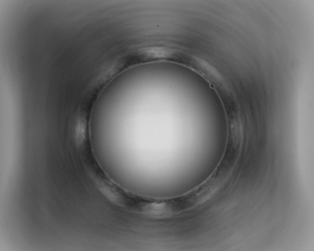 X0000112170406200908071202