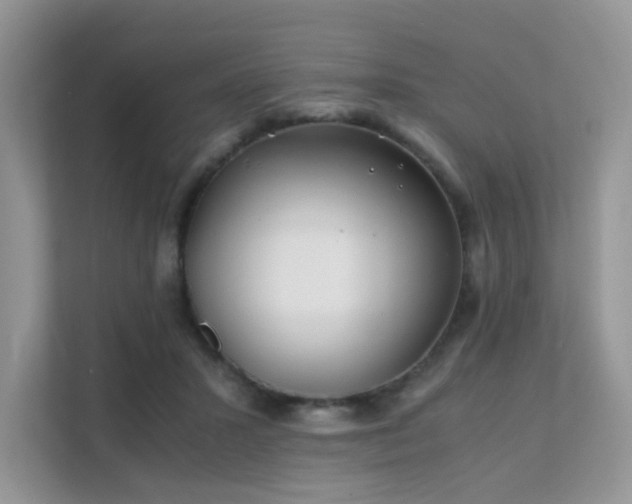 X0000112170407200908071202