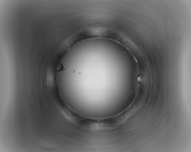 X0000112170408200908071202