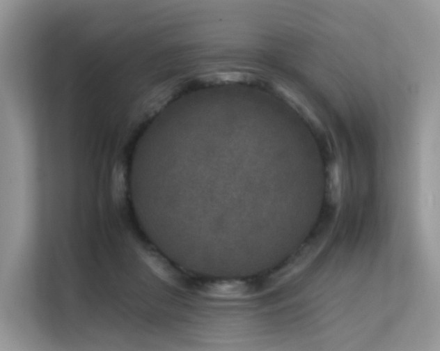 X0000112170410200908071202