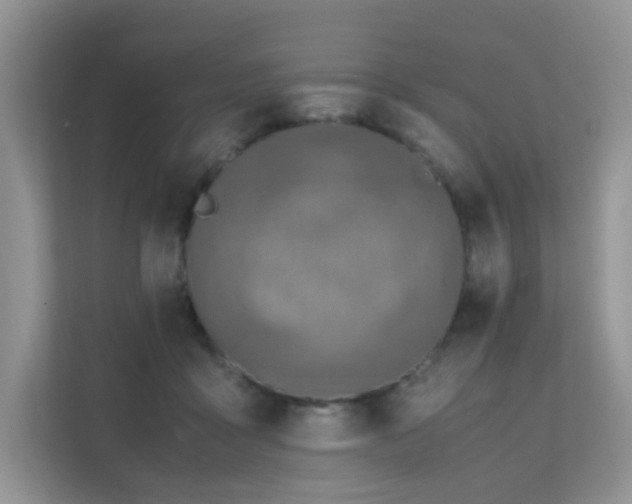 X0000112170411200908071202