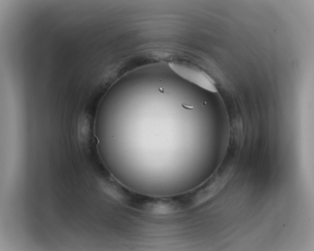 X0000112170412200908071202