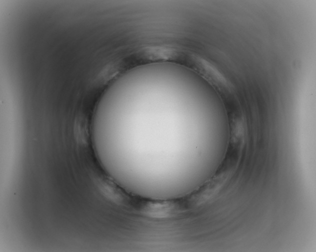 X0000112170414200908071202