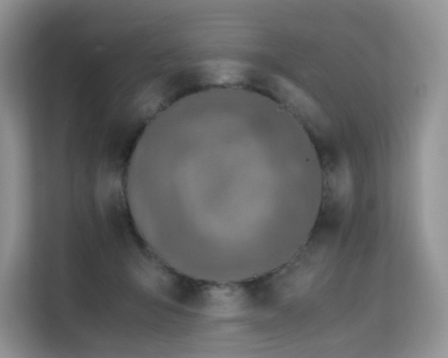 X0000112170415200908071202