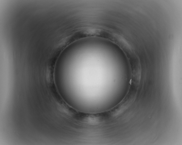 X0000112170416200908071202