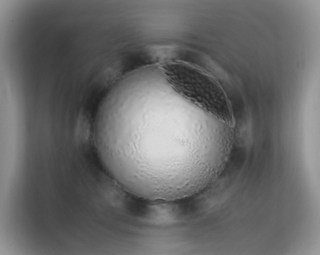 X0000112170417200908071202