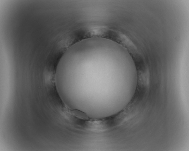 X0000112170419200908071202