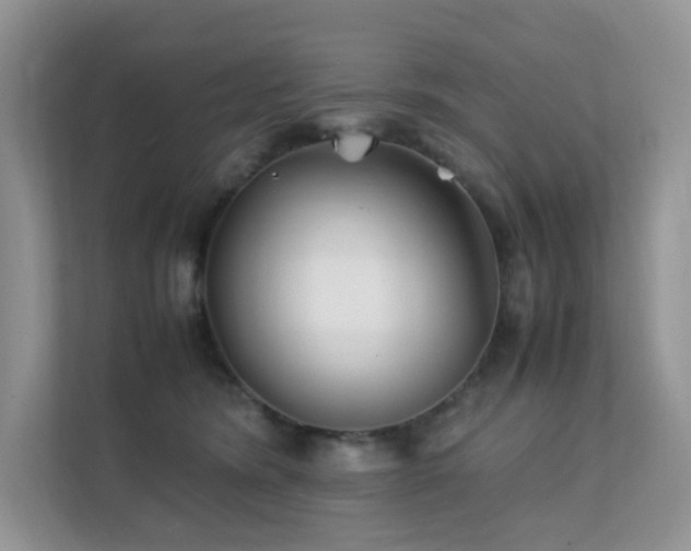 X0000112170420200908071202