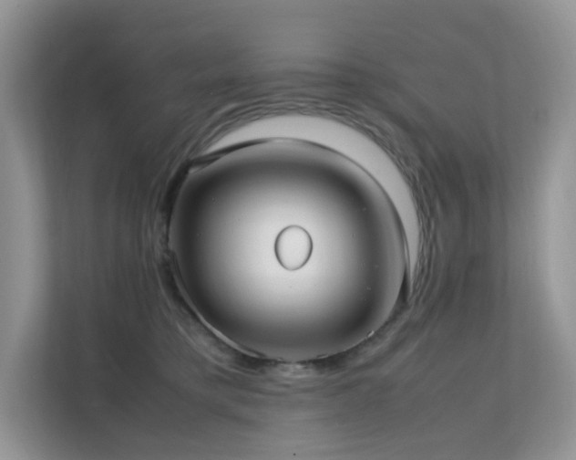 X0000112170421200908071202