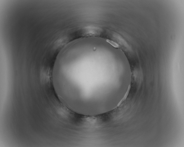 X0000112170423200908071202