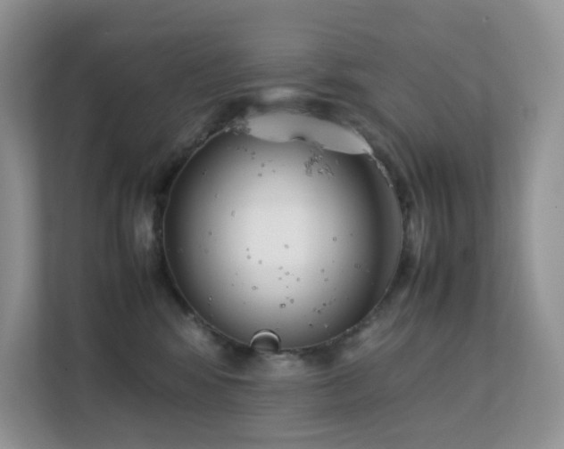 X0000112170424200908071202