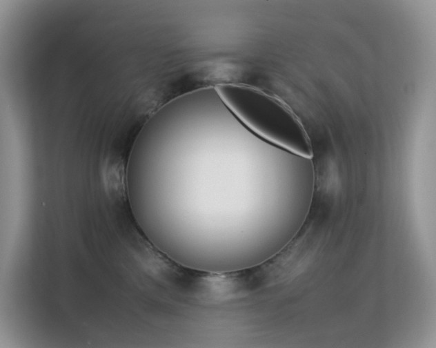 X0000112170425200908071202