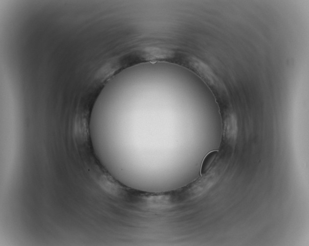 X0000112170426200908071202